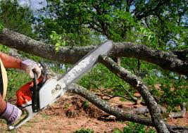 Best Emergency Tree Removal  in Poquonock Bridge, CT