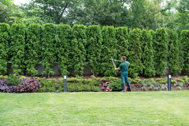 Best Tree and Shrub Care  in Poquonock Bridge, CT